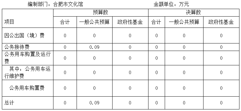 2020年合肥市文化馆 “三公”经费决算公开